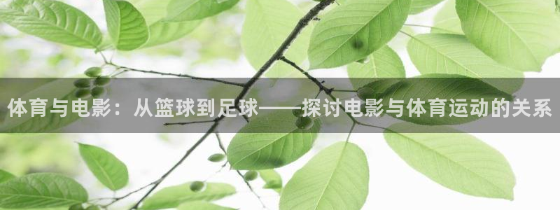 酷玩体育的东西是正品吗：体育与电影：从篮球到足球——探讨电影与体育运动的关系