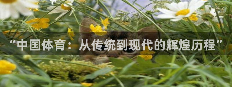 酷玩体育nba：“中国体育：从传统到现代的辉煌历程”