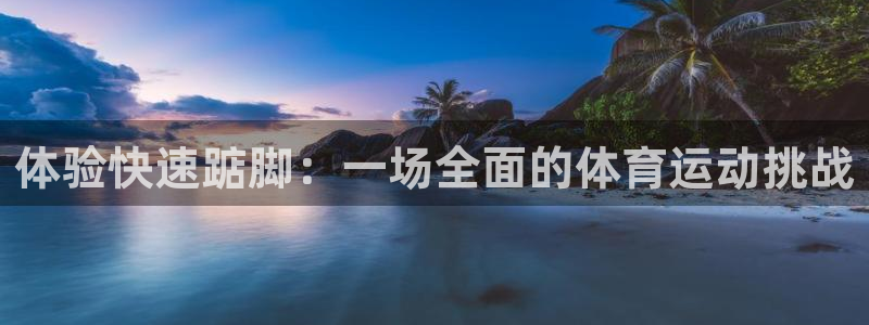 酷玩体育：体验快速踮脚：一场全面的体育运动挑战