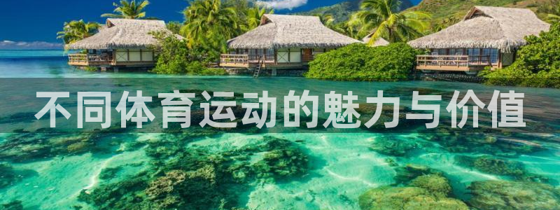 酷玩体育的东西是正品吗：不同体育运动的魅力与价值
