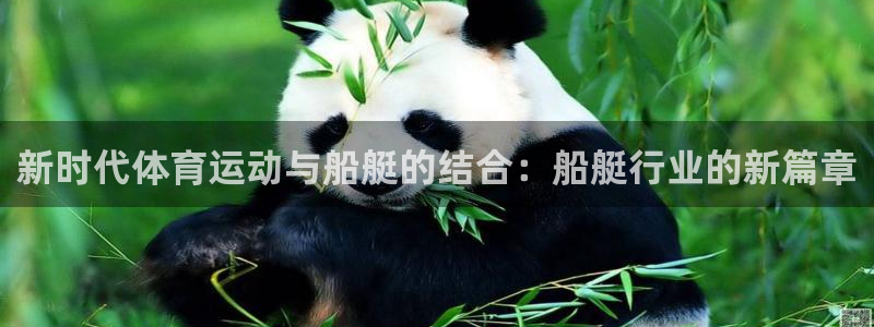酷玩体育nba：新时代体育运动与船艇的结合：船艇行业的新篇章