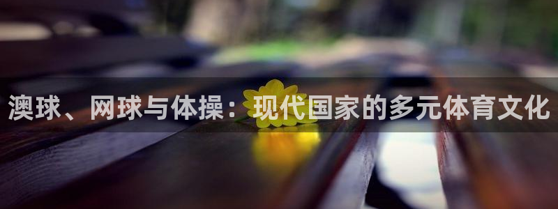酷玩体育登录即领礼包入口：澳球、网球与体操：现代国家的多元体育文化