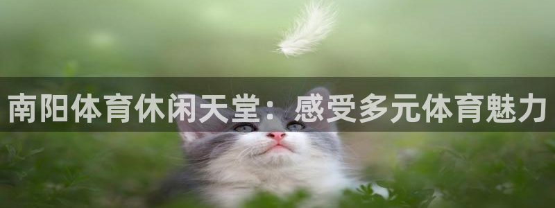 酷玩体育登录即领礼包入口：南阳体育休闲天堂：感受多元体育魅力