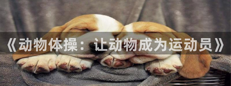 酷玩体育真的假的：《动物体操：让动物成为运动员》