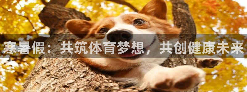 酷玩体育app：寒暑假：共筑体育梦想，共创健康未来