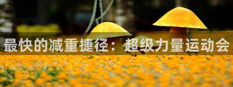 酷玩体育低调看NBA：最快的减重捷径：超级力量运动会